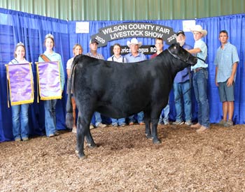 Grand Champion Owned Female