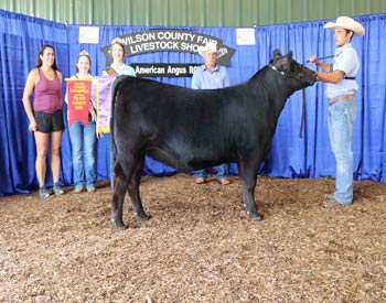 Grand Champion Bred-and-owned Female