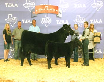 Grand Champion Cow-calf Pair
