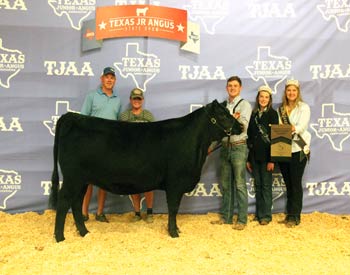 Bred-and-owned Reserve Senior Champion Female
