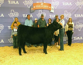 Owned Senior Champion Female