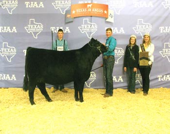 Bred-and-owned Senior Champion Female