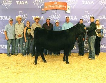 Owned Reserve Senior Champion Female