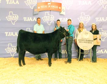 Reserve Grand Champion Bred-and-owned Female