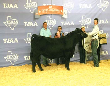 Reserve Grand Champion Bred-and-owned Bull