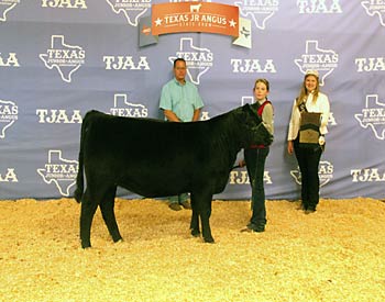 Owned Intermediate Champion Heifer