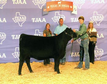 Owned Reserve Junior Champion Heifer