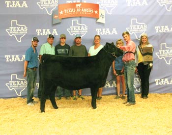 Bred-and-owned Intermediate Champion Heifer