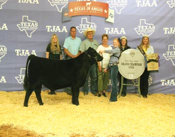 Grand Champion Steer