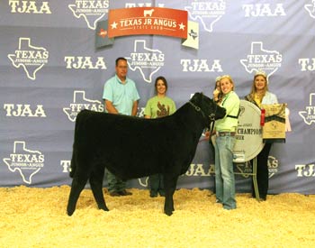 Reserve Grand Champion Steer
