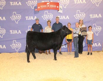 Bred-and-owned Reserve Intermediate Champion Heifer