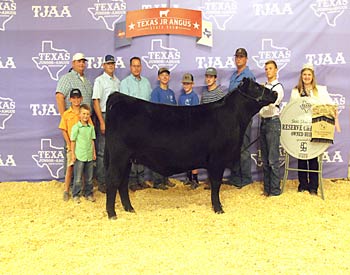 Reserve Grand Champion Owned Female