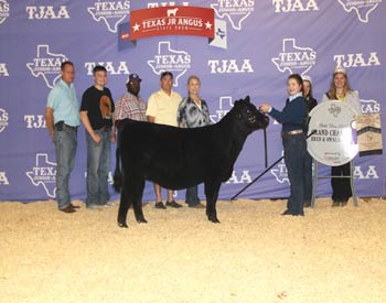 Grand Champion Bred-and-owned Female