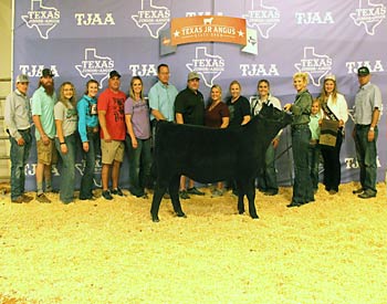 Owned Reserve Heifer Calf Champion