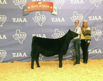 Bred-and-owned Reserve Heifer Calf Champion