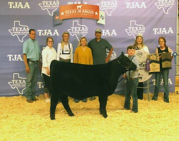 Grand Champion Owned Female