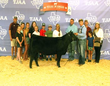 Owned Reserve Intermediate Champion Heifer