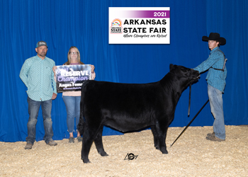 Reserve Grand Champion Owned Female