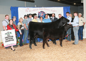 Grand Champion Cow-calf Pair