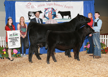 Reserve Grand Champion Cow-calf Pair