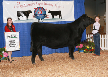 Reserve Senior Champion Female