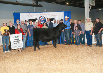 Grand Champion Female