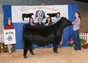Late Junior Champion Heifer