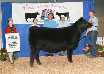 Reserve Early Junior Champion Heifer