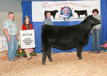 Reserve Intermediate Champion Heifer