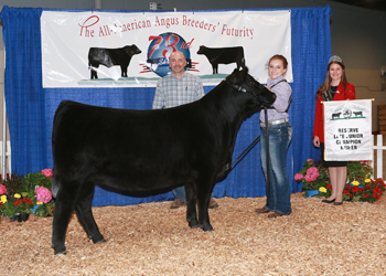 Reserve Late Junior Champion Heifer