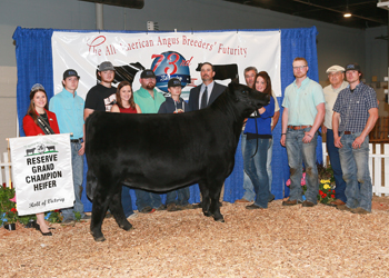 Reserve Grand Champion Female