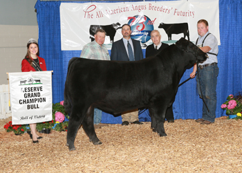 Reserve Grand Champion Bull