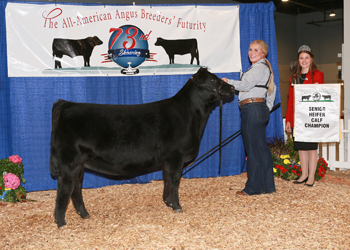 Early Senior Heifer Calf Champion