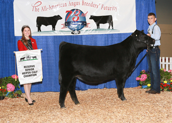 Reserve Early Senior Heifer Calf Champion