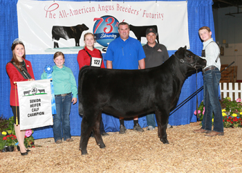 Late Senior Heifer Calf Champion