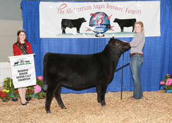 Reserve Late Senior Heifer Calf Champion