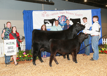Grand Champion Cow-calf Pair