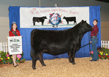 Bred-and-owned Reserve Senior Champion Female