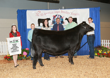 Reserve Grand Champion Bred-and-owned Female