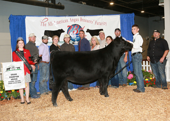 Grand Champion Owned Female