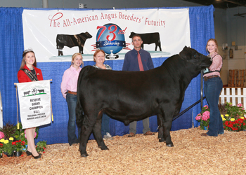 Reserve Grand Champion Bred-and-owned Bull
