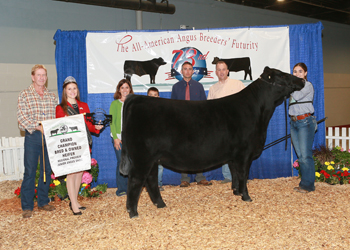 Grand Champion Bred-and-owned Female