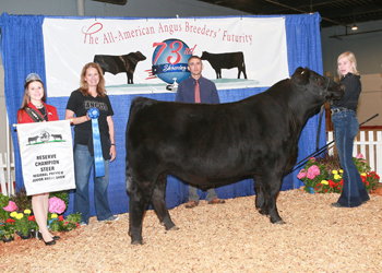 Reserve Grand Champion Steer