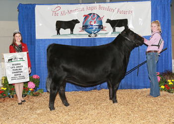 Owned Reserve Late Junior Champion Heifer