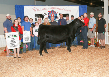 Owned Late Junior Champion Heifer