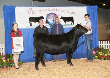 Bred-and-owned Senior Heifer Calf Champion