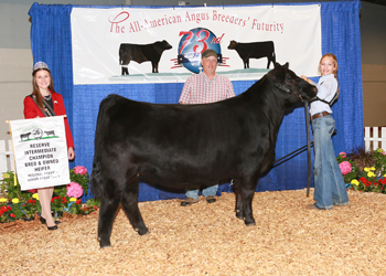Bred-and-owned Reserve Intermediate Champion Heifer