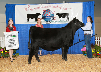 Owned Reserve Intermediate Champion Heifer