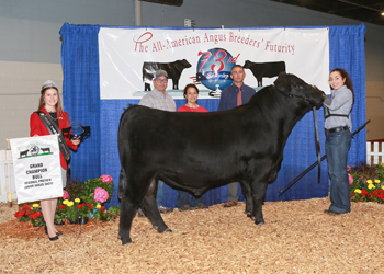 Grand Champion Bred-and-owned Bull
