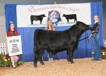 Bred-and-owned Reserve Senior Bull Calf Champion